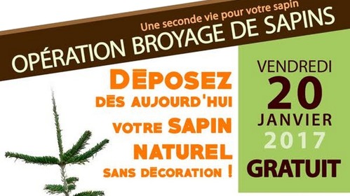 Opération Broyage de sapins 