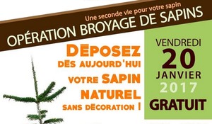 Opération Broyage de sapins 