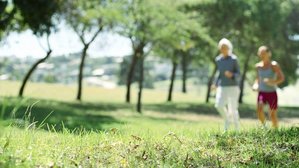 Affouages, sorties en forêt et interdiction de rassemblement dans les parcs et jardins publics